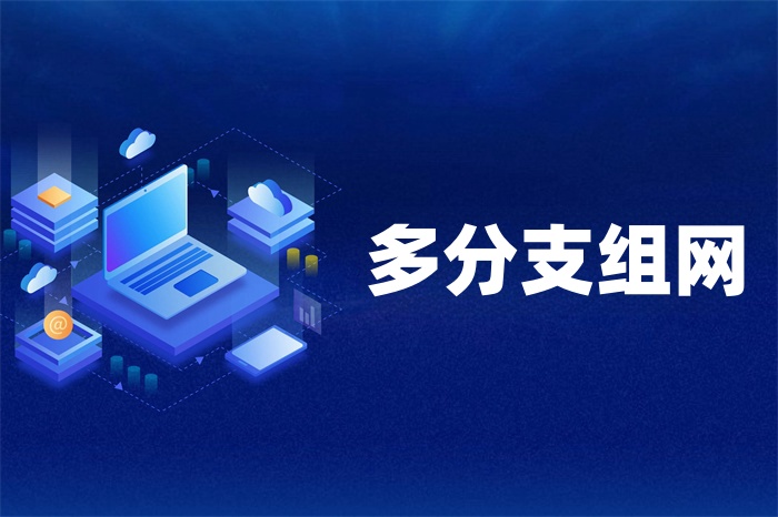 企業多分支組網的方式有哪些