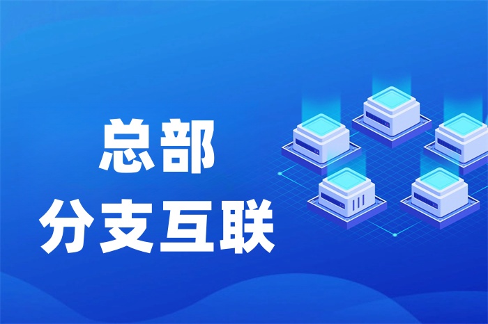 分公司與總公司如何異地組建局域網(wǎng)？