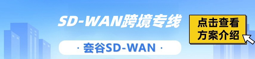 sdwan接入使用專(zhuān)線嗎