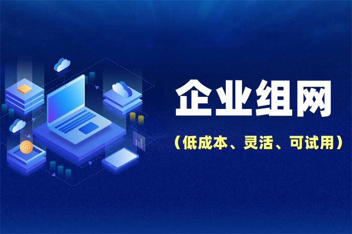 分公司怎么接入總部網(wǎng)絡(luò)