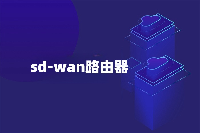 sd-wan路由器