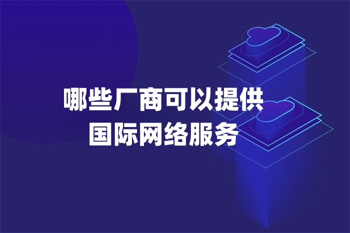 哪些廠商可以提供國(guó)際網(wǎng)絡(luò)服務(wù)