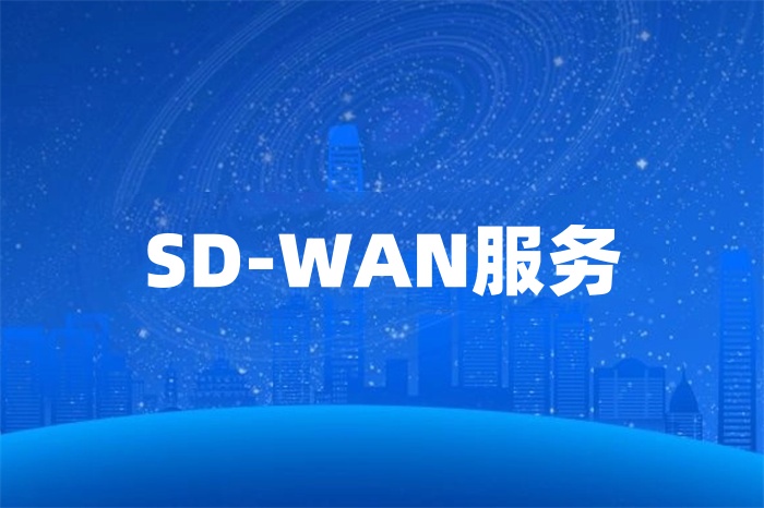 SD-WAN服務