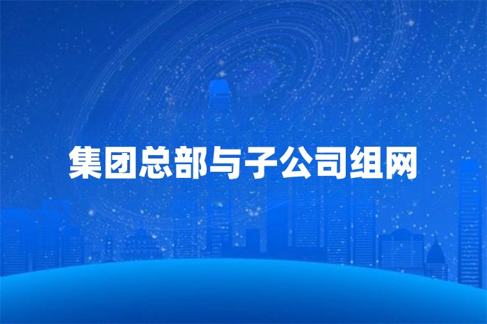 集團總部與子公司組網