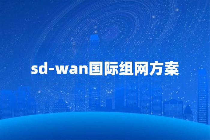 sd-wan國際組網方案