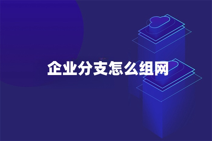 企業分支怎么組網