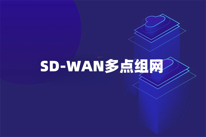 SD-WAN多點組網