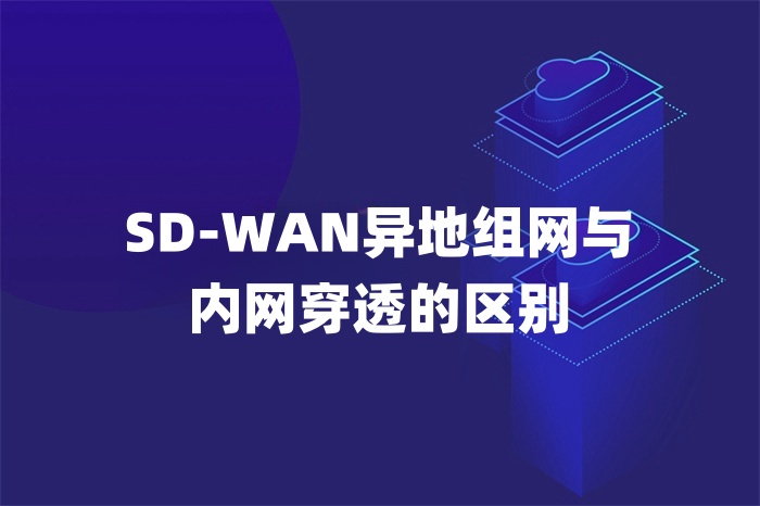 SD-WAN異地組網與內網穿透的區別