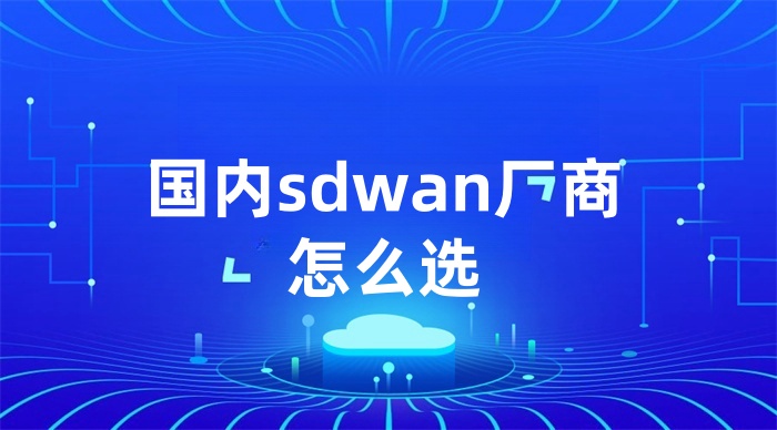 國內sdwan廠商怎么選