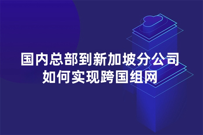 國內(nèi)總部到新加坡分公司如何實現(xiàn)跨國組網(wǎng)