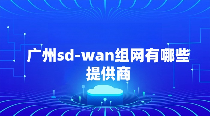 廣州sd-wan組網有哪些提供商