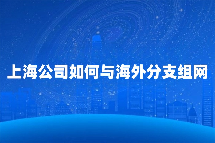 上海公司如何與海外分支組網(wǎng)
