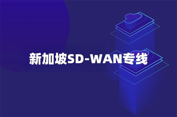 新加坡SD-WAN專線