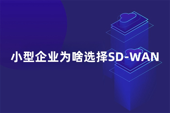 小型企業為啥選擇SD-WAN
