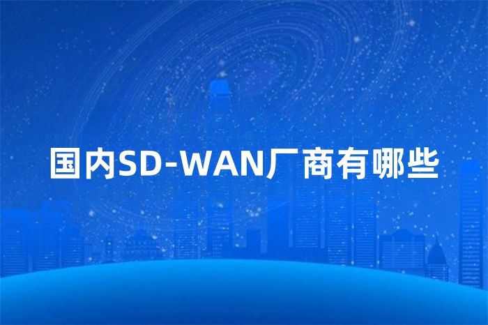 國內SD-WAN廠商有哪些