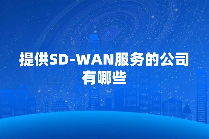提供SD-WAN服務的公司有哪些