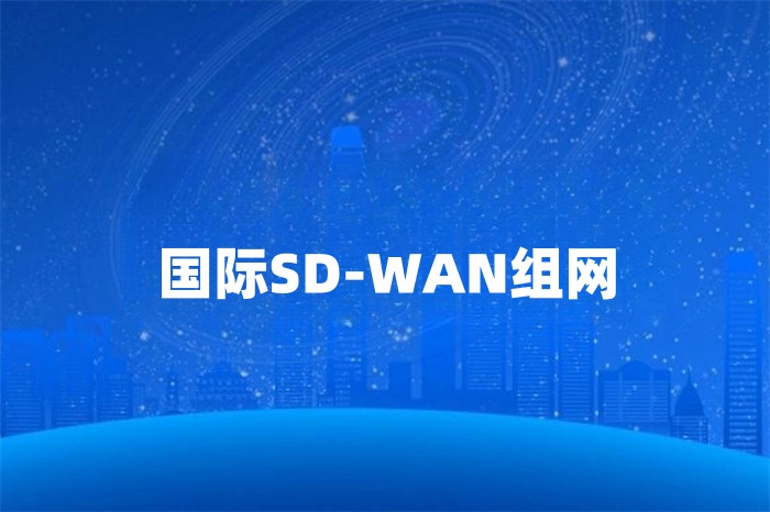 國際SD-WAN組網